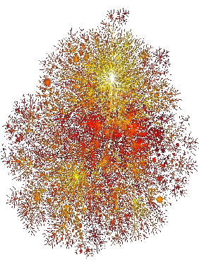 Skitter Data Visualization