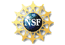 National Science Foundation logo