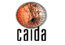CAIDA website