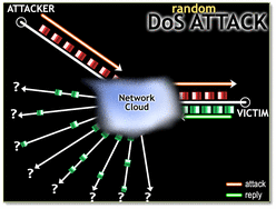 The denial-of-service attack victim cannot differentiate between legitimate traffic and the attack packets, so the victim responds to as many of the attack packets as possible.