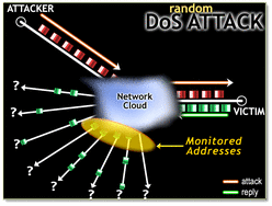 Because the network telescope composes 1/256th of the IPv4 address space, the telescope receives approximately 1/256th of the responses to spoofed packets generated by the denial-of-service attack victim.